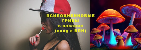 хмурый Краснотурьинск