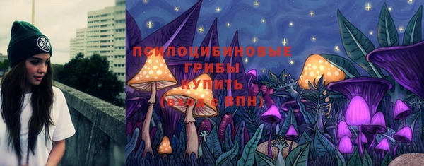 сатива Струнино
