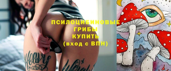спайс Краснослободск
