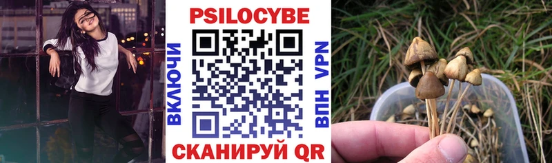 Купить где  Ветлуга  Псилоцибиновые грибы GOLDEN TEACHER 